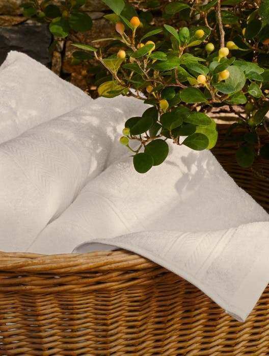 Towels & Bath Mats