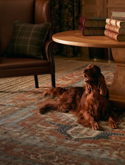 Rugs